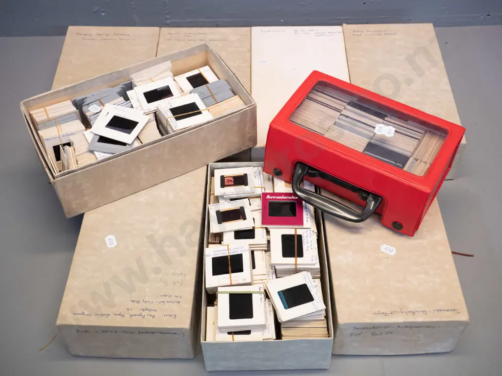large collection of 35mm slides: NZ ornithology, landscapes, skiing, caving, steam trains, school trips etc. Image 1++