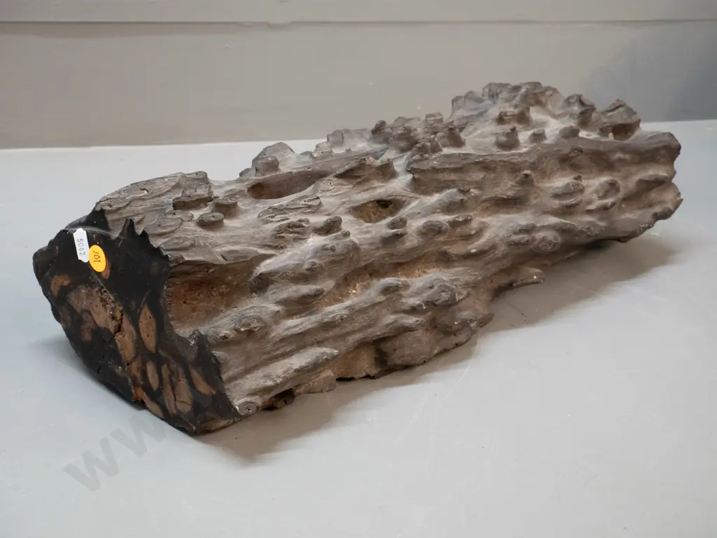 heavy piece of ebony L-440 Image 1++