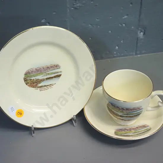 Crown Devon Queenstown souvenir china trio - some crazing