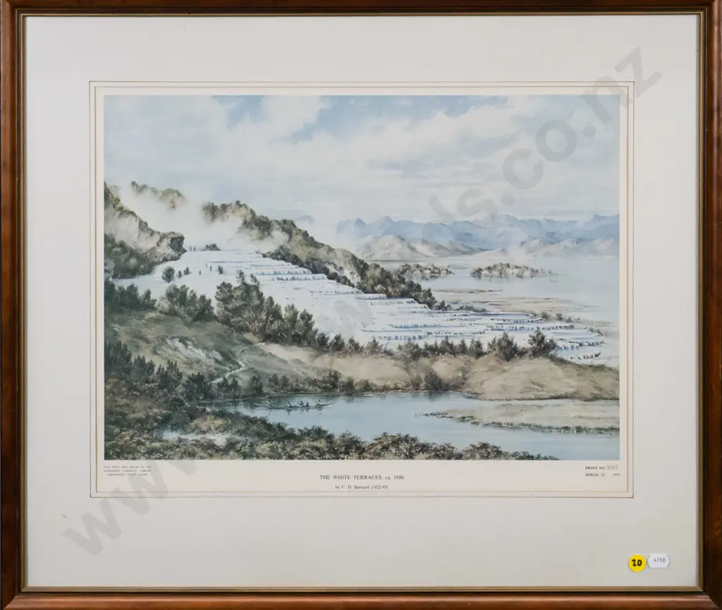 framed historic print - White Terraces 1880 H-300 W-420 Image 1++